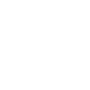 Logo Footer